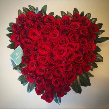 Rosas