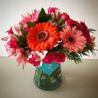 Gerberas