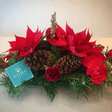 Brillo Navideño